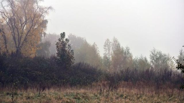 Bay Area Braces for Cold, Rain, and Strong Winds in This Week's Northern California Forecast