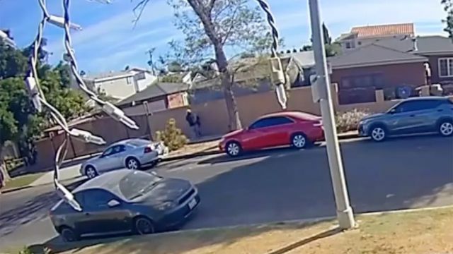 Heroic California Neighbor Foils Kidnapping Attempt, Rescue Caught on Video