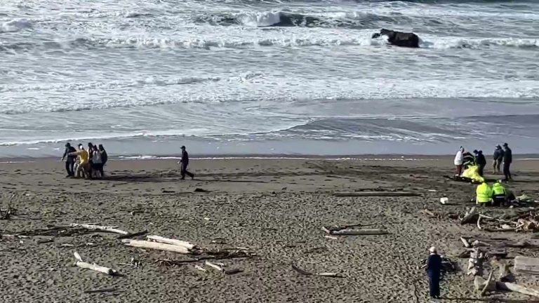 1 Dead, 1 Rescued, 4 Missing After Boat Capsizes Off Sonoma Coast - The ...