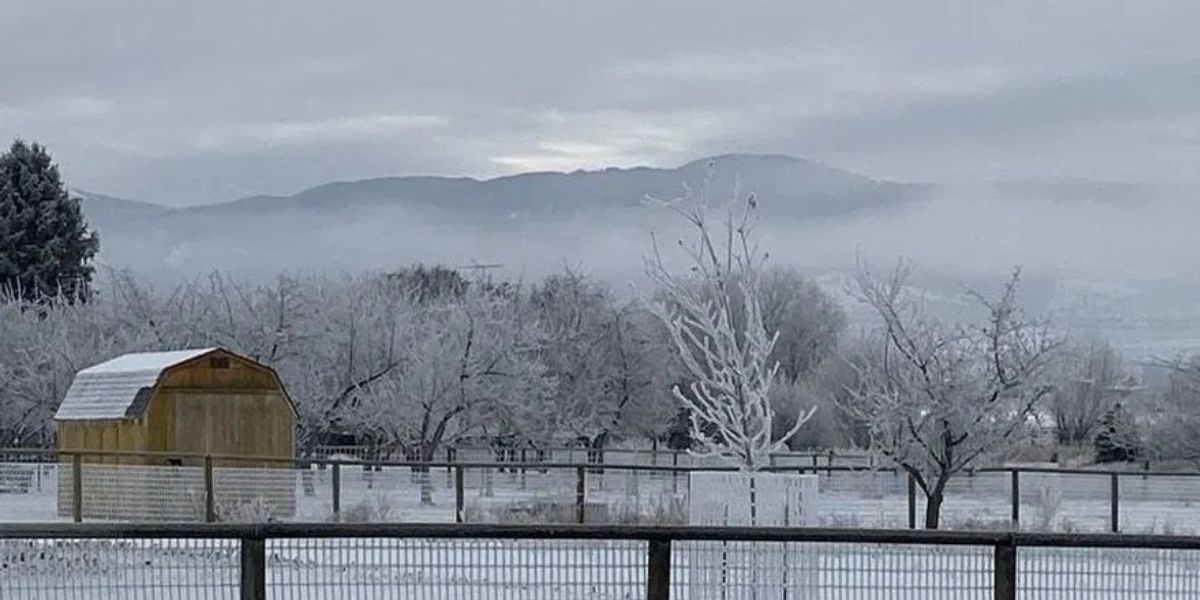 Weekend Weather Alert: Cold Fog and Freezing Rain to Hit Northwestern Montana