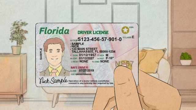 Florida Driver’s License Renewal: New Rules Every Resident Must Know