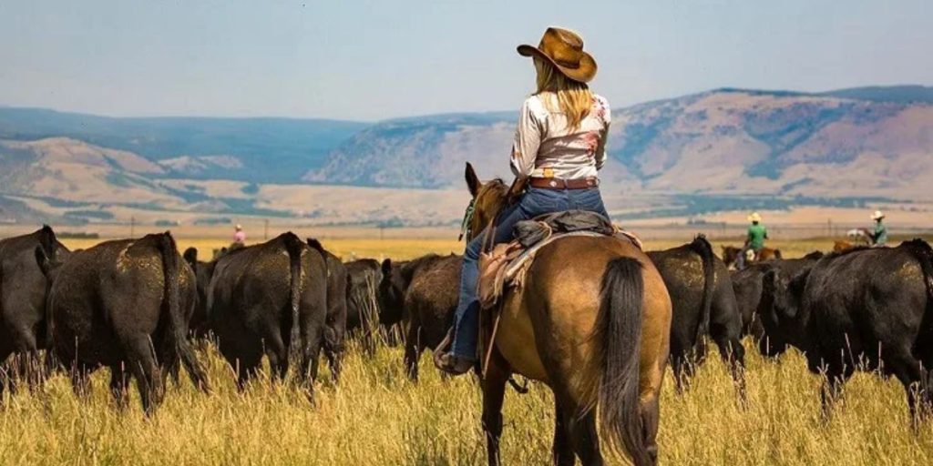 Best Dude Ranches in Wyoming for an Authentic Cowboy Getaway (1)
