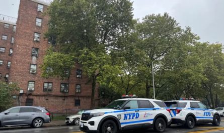 Boy, 5, Survives Fall from Fifth-Story Window in Brooklyn Housing Complex