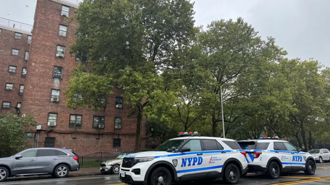 Boy, 5, Survives Fall from Fifth-Story Window in Brooklyn Housing Complex