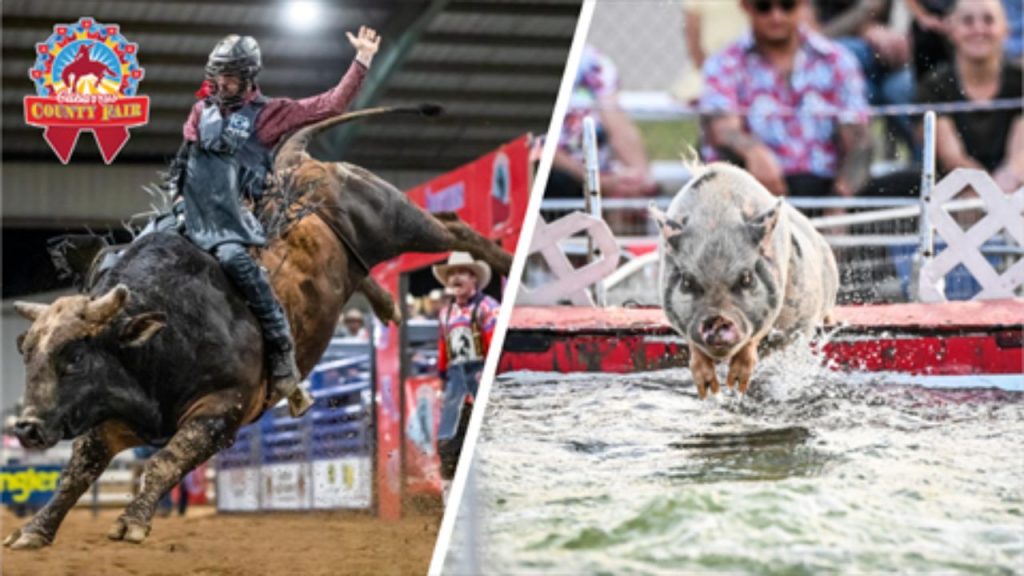 Cabarrus County Fair 2025 Full Schedule, Admission Info, Grandstand Events and Rodeos