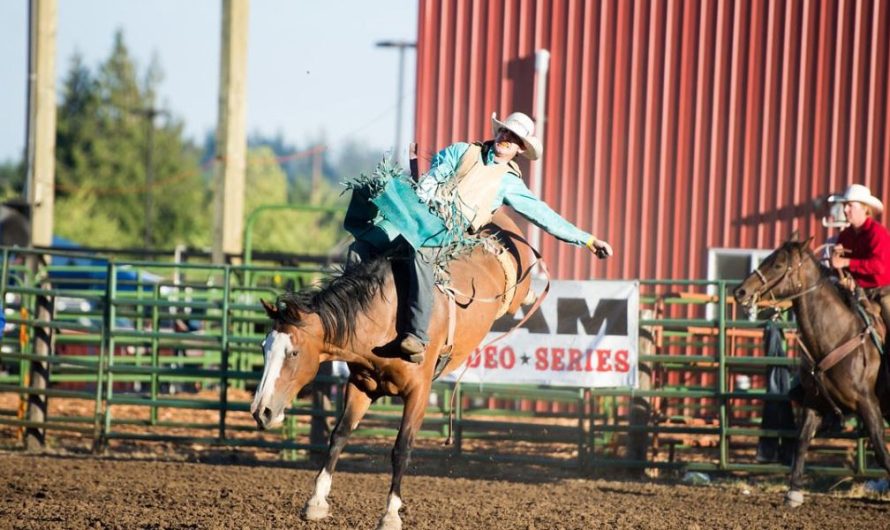 Cache County Fair & Rodeo 2025 Full Schedule, Admission Info, and Grandstand Events