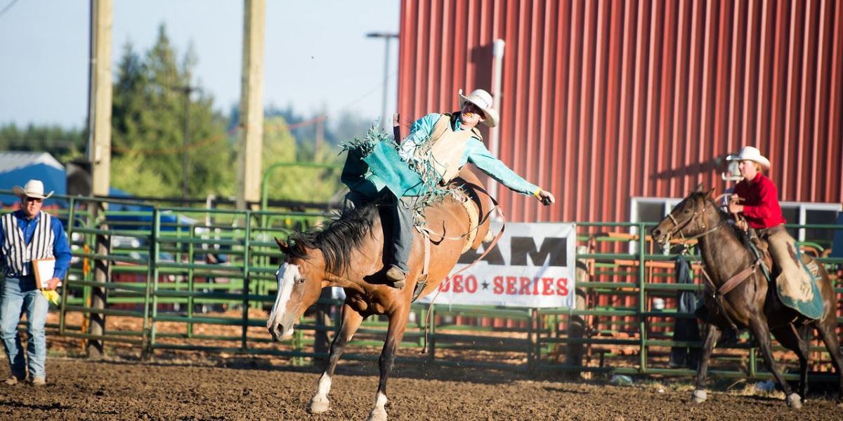 Cache County Fair & Rodeo 2025 Full Schedule, Admission Info, and Grandstand Events