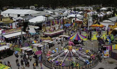 Coconino County Fair 2025 Full Schedule, Admission Info, and Grandstand Events and Rodeos (1)