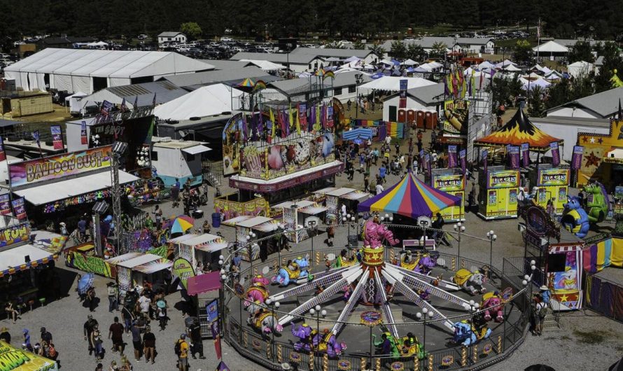 Coconino County Fair 2025: Full Schedule, Admission Info, and Grandstand Events and Rodeos