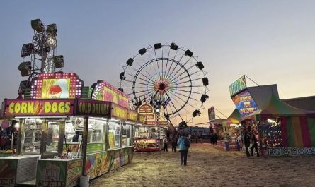 Curry County Fair 2025 Full Schedule, Admission Info, and Grandstand Events and Rodeos