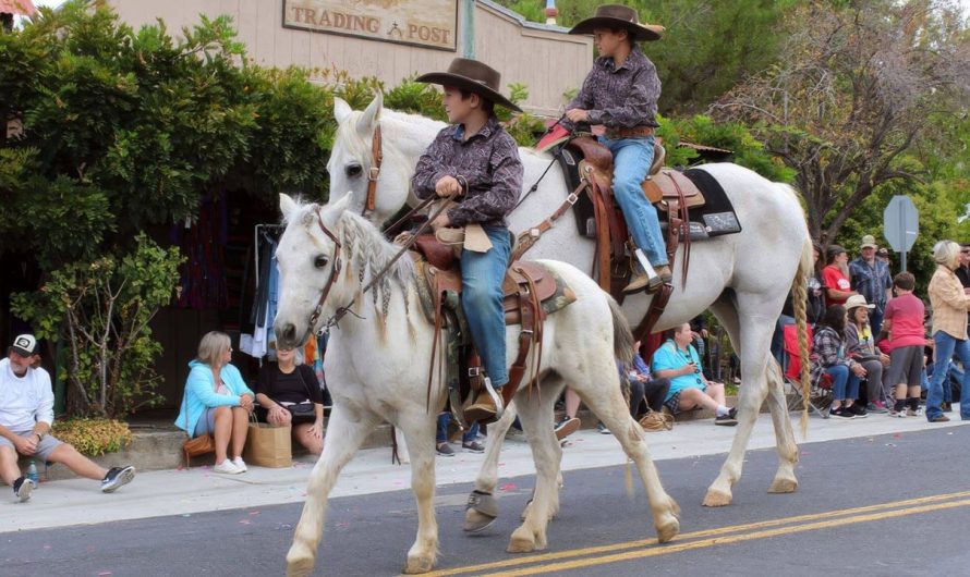 Mariposa County Fair 2025 Full Schedule, Grandstand Events and Admission Info