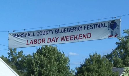 Marshall County Blueberry Festival 2025 A Labor Day Weekend Celebration in Indiana