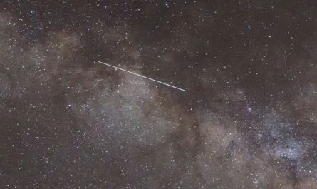 Meteor Shower in Miami in 2025; Best Dates, Timings, and Stargazing Tips for Best View