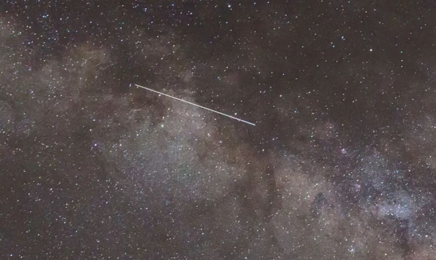 Meteor Shower in Miami in 2025; Best Dates, Timings, and Stargazing Tips for Best View