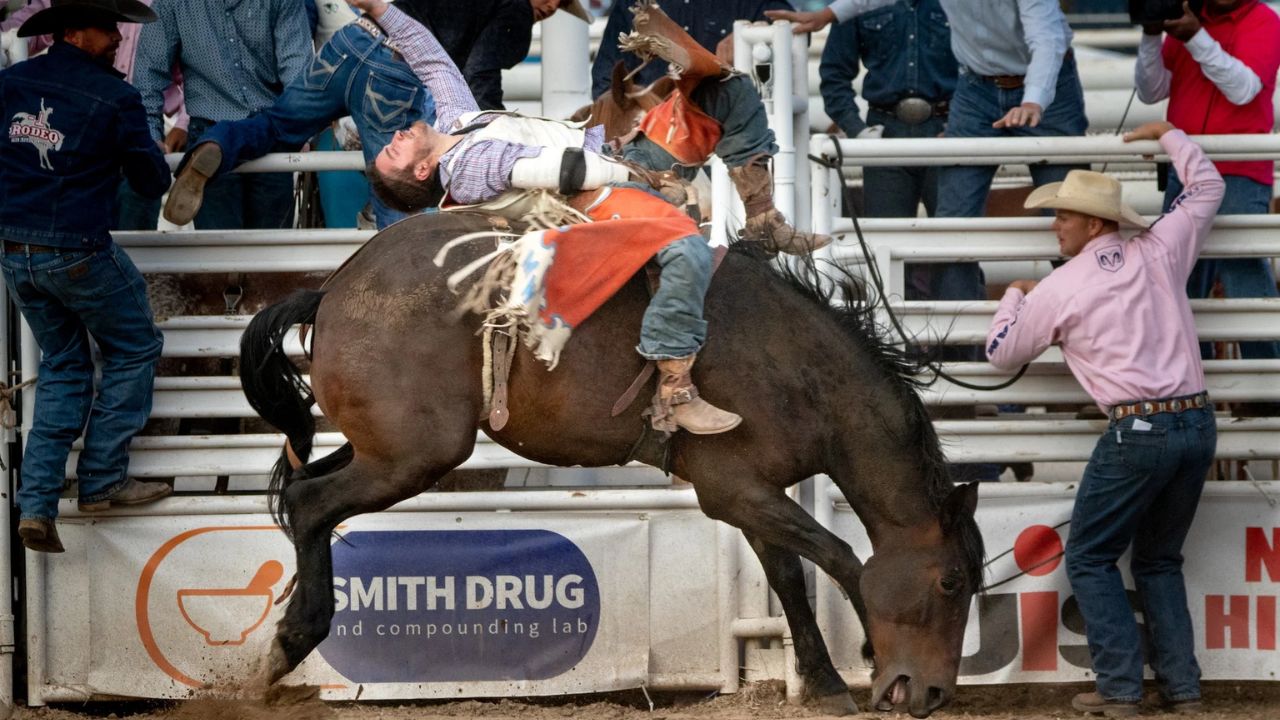 Ralph Morgan Rodeo Morgan County Fair and Rodeo 2025 Full Schedule, Admission Info ...