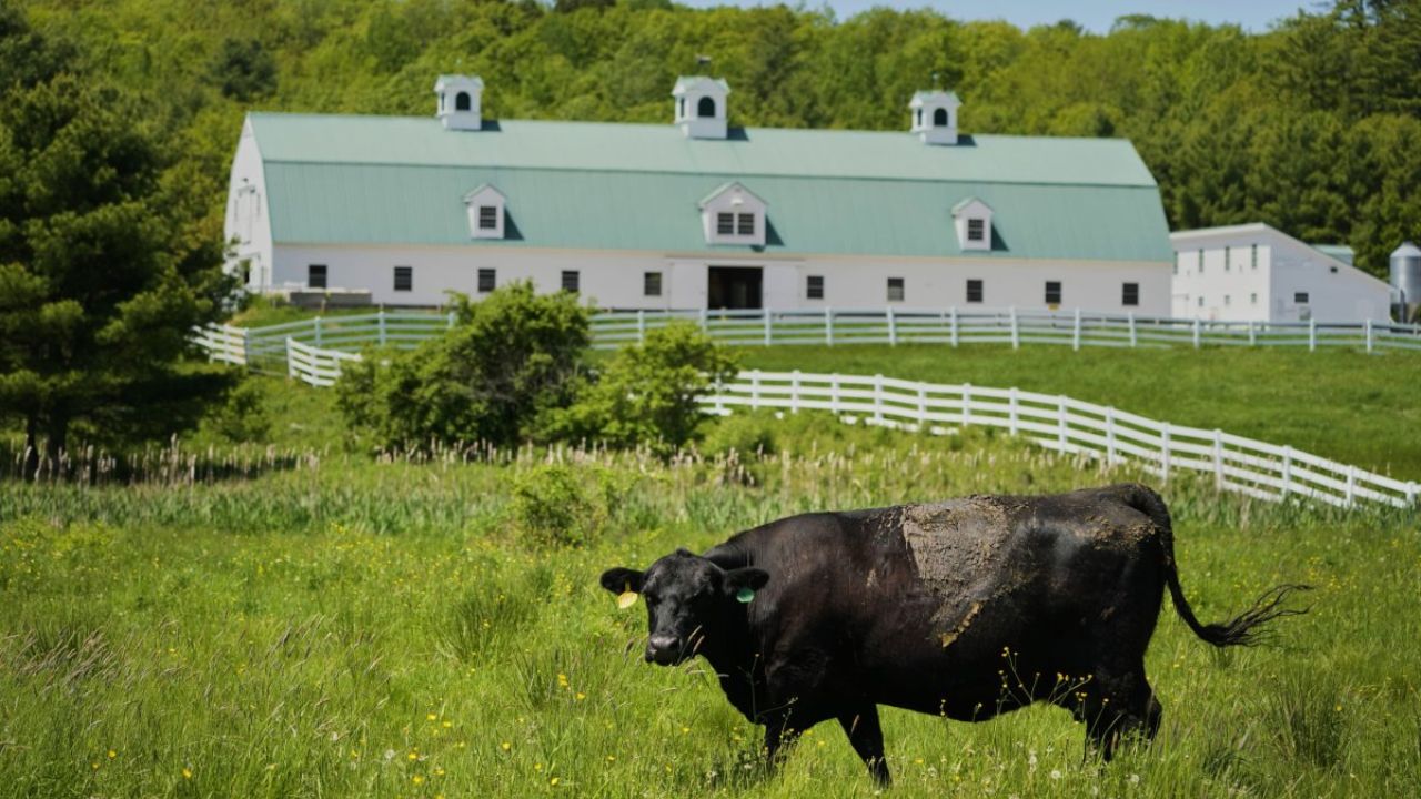 OSHA Launches Probe After Six Workers Die in Colorado Dairy