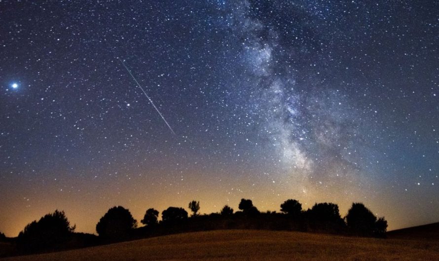 Perseids Meteor Shower in Hawaii: Best Dates, Locations, and Stargazing Advice