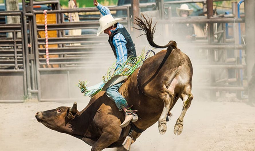 Sandusky State Fair 2025: Full Schedule, Admission Info, and Grandstand Events