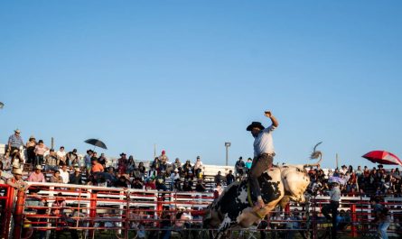 Valencia County Fair Brings Tradition, Rodeo, and Family Fun to New Mexico