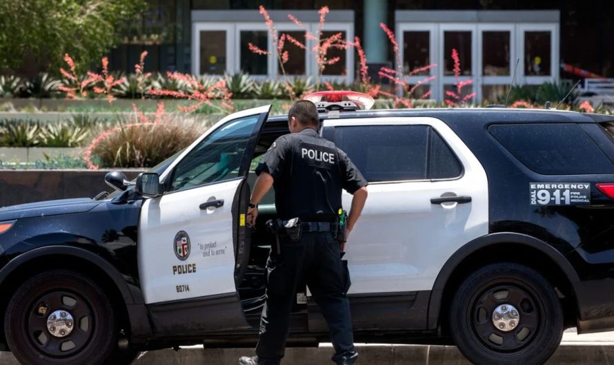 Violent Los Angeles Assault Ends in Death; Suspect Dies by Suicide
