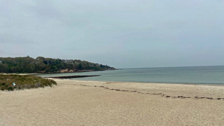 Officials: Cape Cod swimmer infected with rare bacteria that can cause ‘flesh-eating’ disease