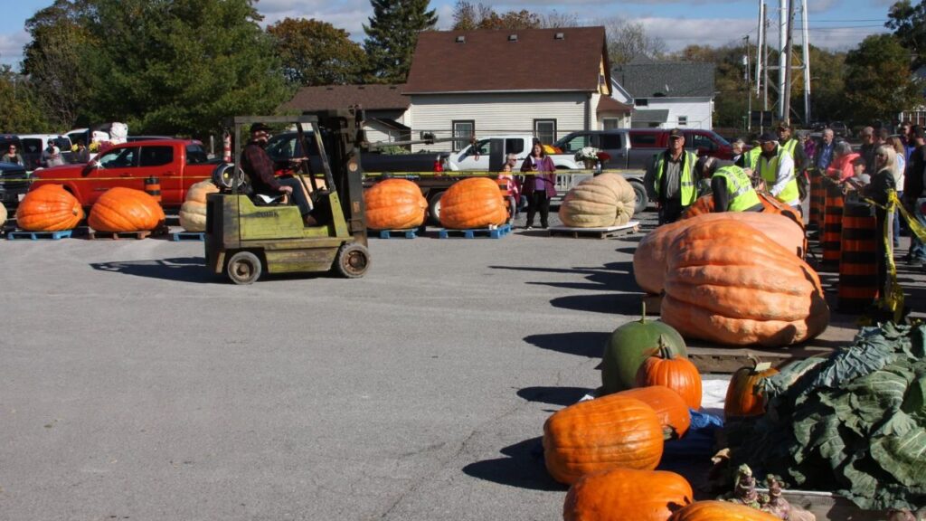 Babylon Pumpkin Fest & Fair 2025 Full Schedule, Admission Info, and Grandstand Events (1)