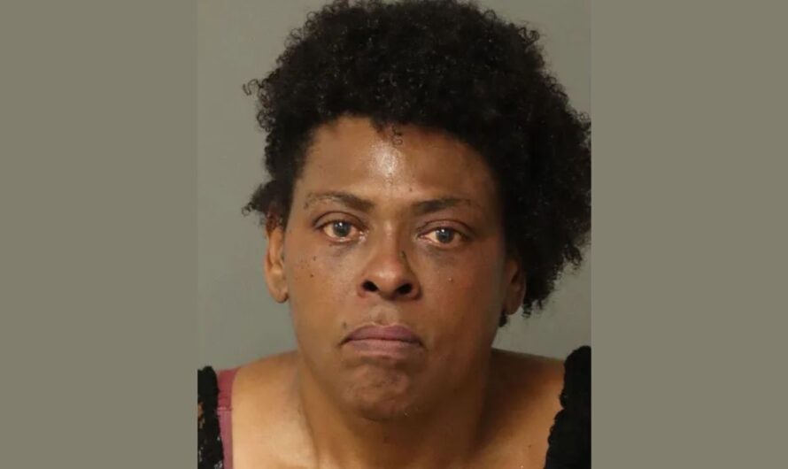 Bystander Kills Pit Bull after Raleigh Woman Allegedly Orders Pitbull to Attack and Maul Neighbor