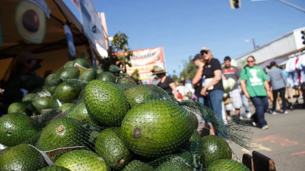 Carpinteria Avocado Festival 2025 Dates, Admission, and Entertainment Lineup (1)