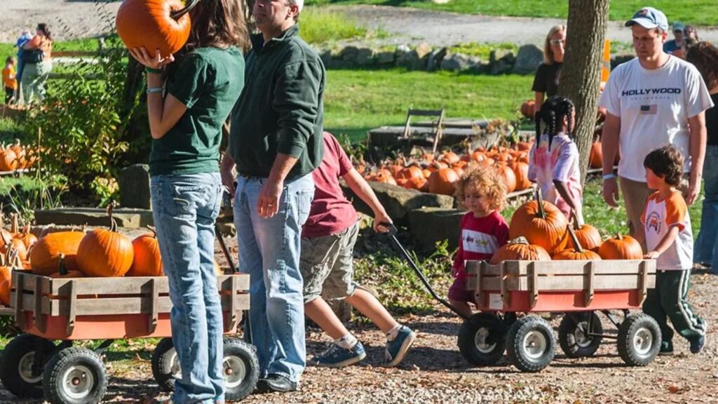 Continental Fall Festival 2025 Full Schedule, Food, and Family Fun in Ohio (1)