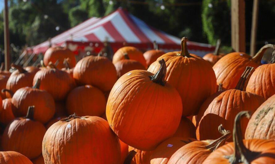 Cookeville Great Pumpkin Festival and Fair 2025: Full Schedule, Admission Info, and Events