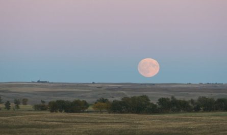 Corn Moon 2025 How and When to See September’s Full Moon
