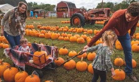 Crosby Fall Harvest Festival 2025 Full Event Schedule and Festival Highlights (1)