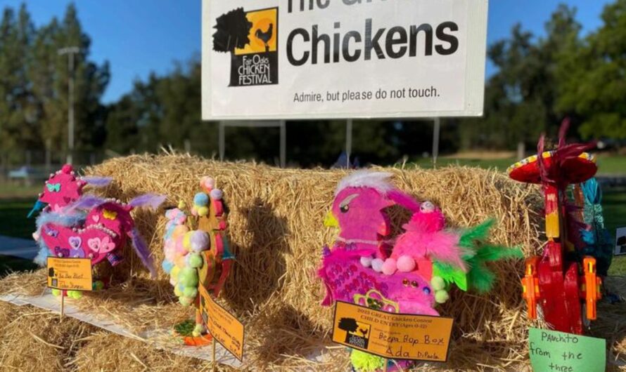 Fair Oaks Chicken Festival 2025: Full Schedule, Admission Info, and Grandstand Events