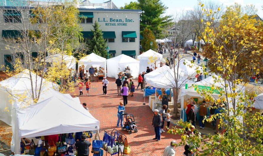 Freeport Fall Festival 2025: Full Schedule, Admission Info, and Grandstand Events