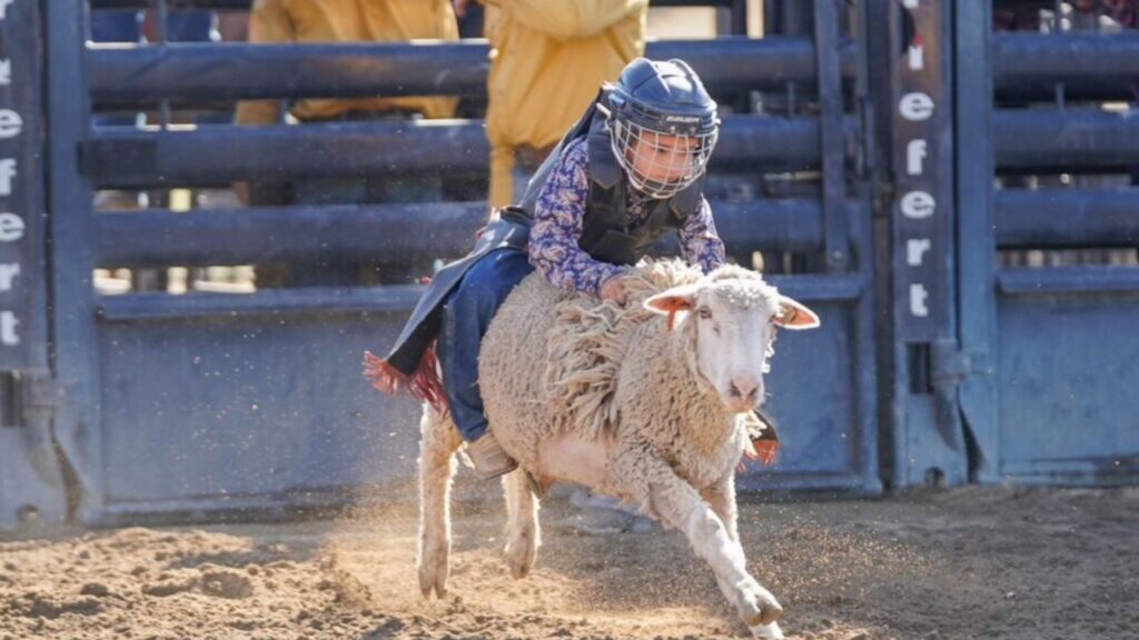 Fresno Fair 2025 Full Schedule, Admission Info, and Grandstand Events and Rodeos