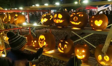 Great Pumpkin Festival 2025 Full Schedule, Admission Info, and Grandstand Events