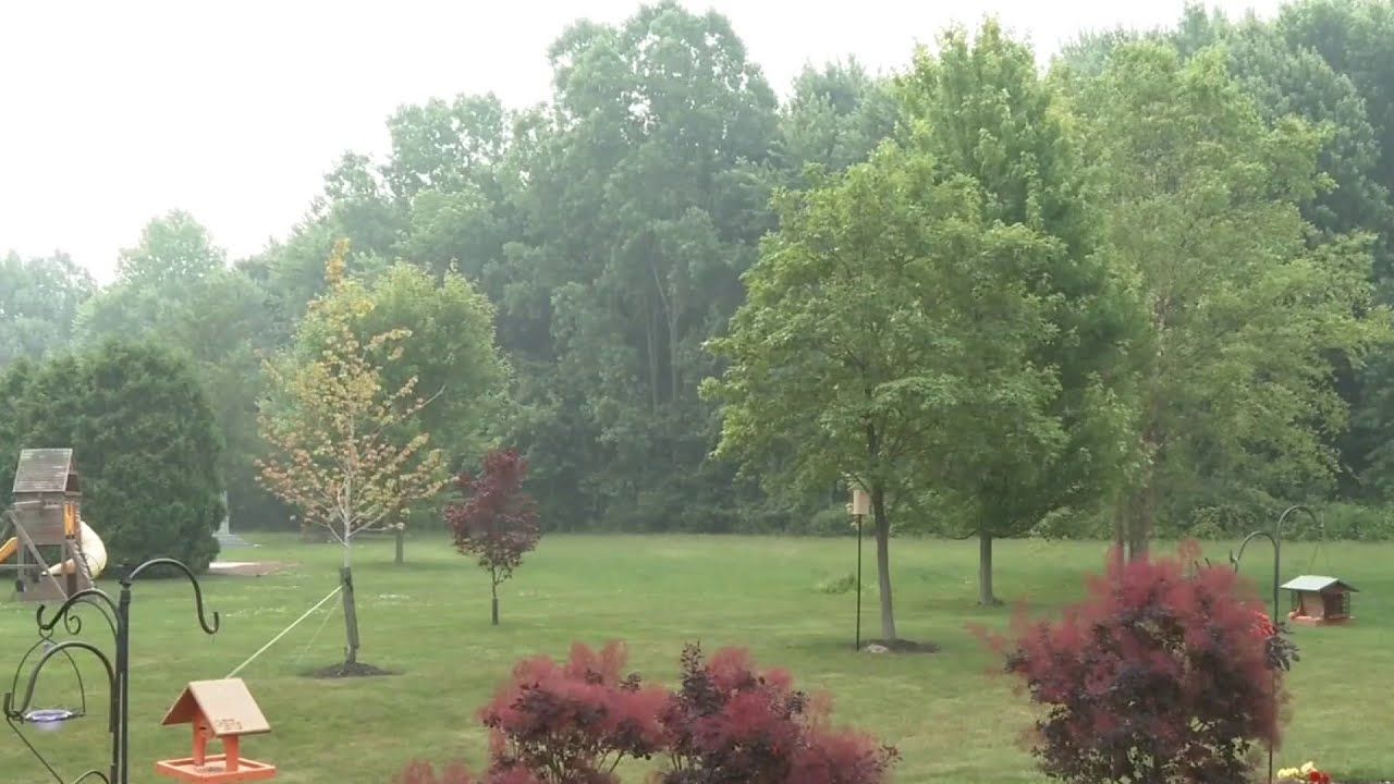 Health Alerts Issued for Children Across Six States Amid Wildfire Smoke