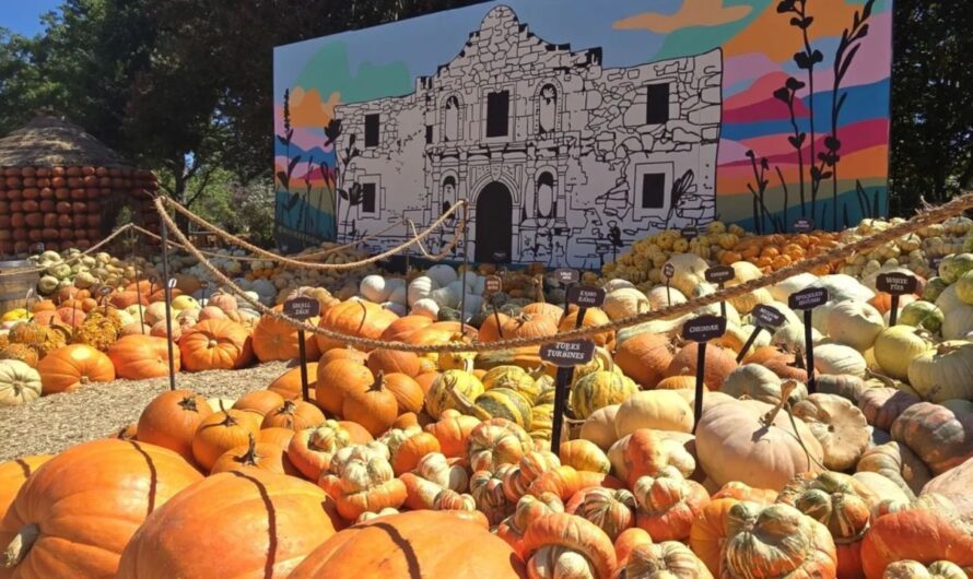 Highland Park Pumpkin Festival 2025: Full Schedule, Admission Info, and Events