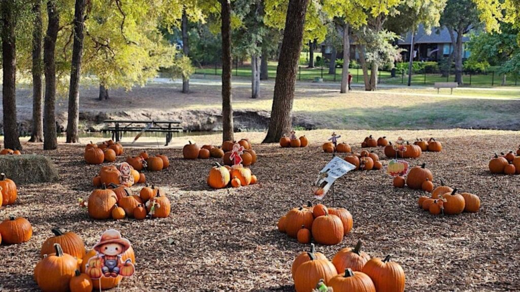 Keller Fall Fun Festival 2025 Full Schedule, Admission Info, and Events and Rodeos (1)