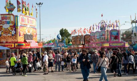 Keller Fall Fun Festival 2025 Full Schedule, Admission Info, and Events and Rodeos