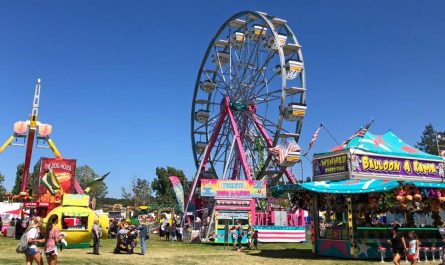 Lonoke County Fair 2025 Full Schedule, Admission Info, Rodeos and Grandstand Events