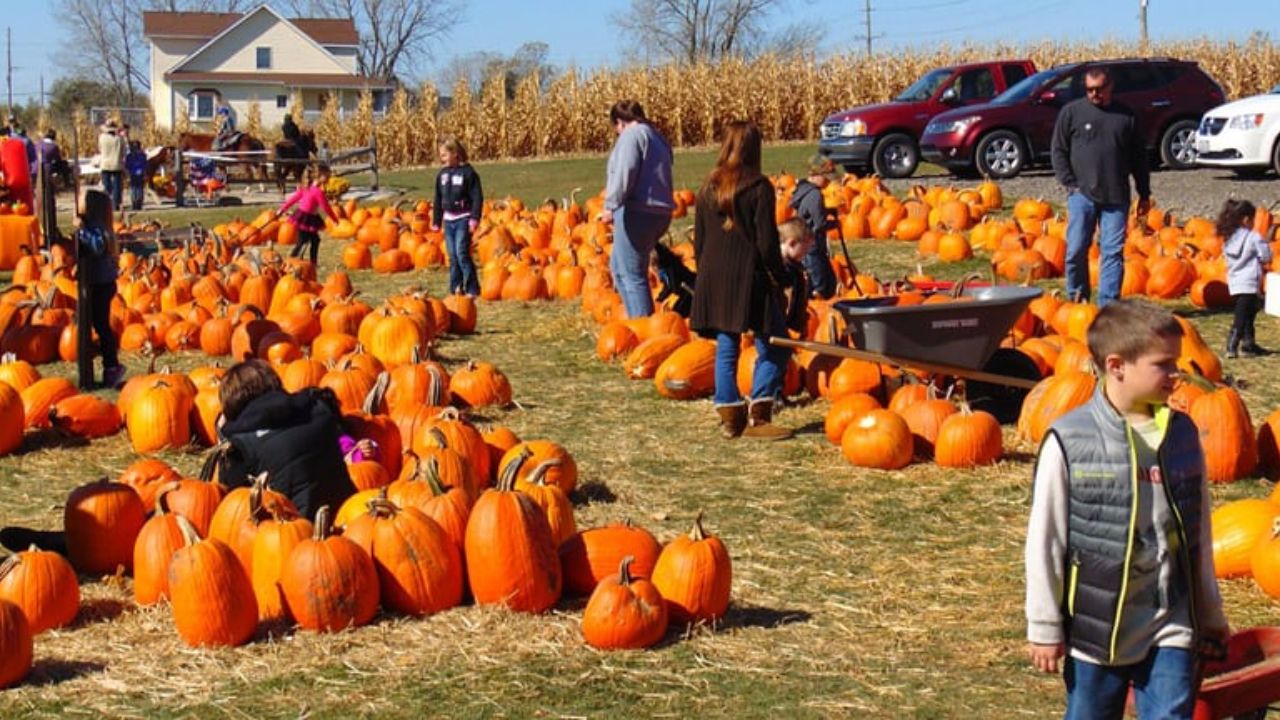 Fall Market Rides Mesa Fall Festival 2025: Dates, Tickets, Food, and Carnival Rides - The ...