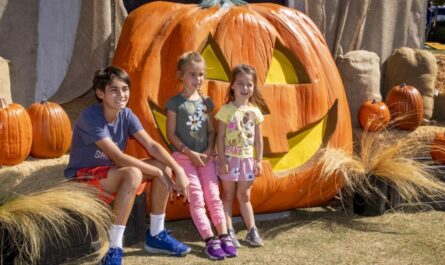 Mesa Fall Festival 2025 Dates, Tickets, Food, and Carnival Rides