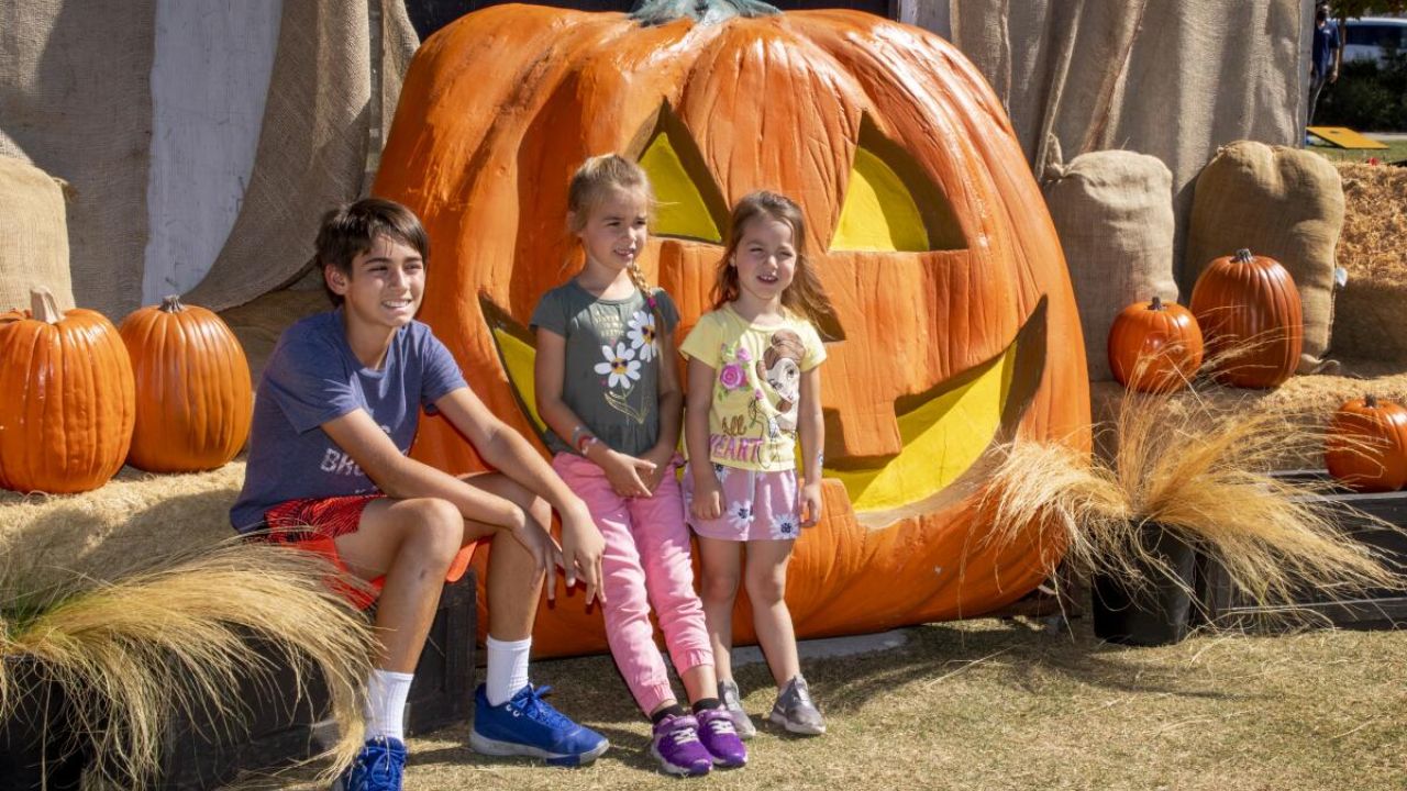 Mesa Fall Festival 2025 Dates, Tickets, Food, and Carnival Rides