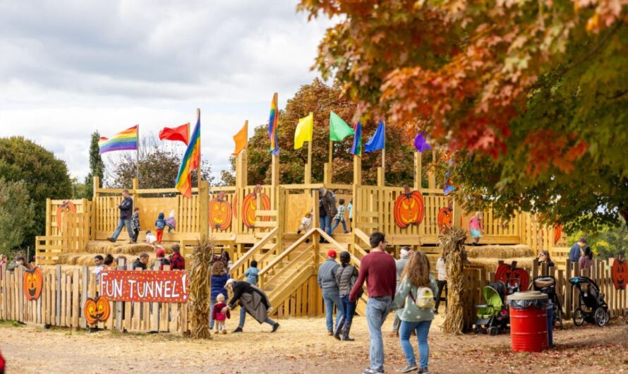 Mineral City Fall Festival 2025: Full Schedule, Admission Info, and Grandstand Events