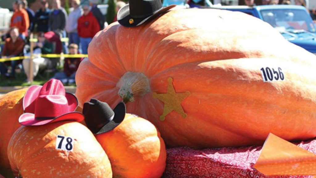 Morton Pumpkin Festival 2025 Dates, Events & Venue in Morton, Illinois (1)