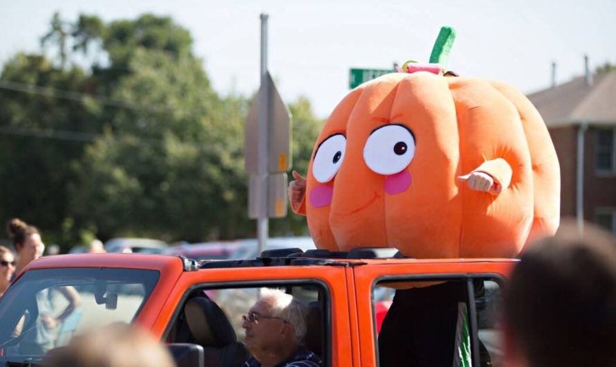 Morton Pumpkin Festival 2025: Dates, Events & Venue in Morton, Illinois