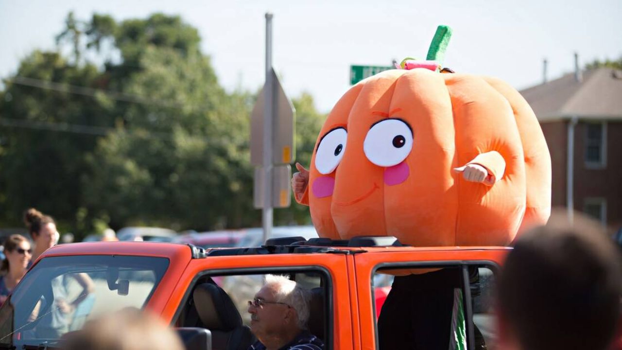 Morton Pumpkin Festival 2025 Dates, Events & Venue in Morton, Illinois
