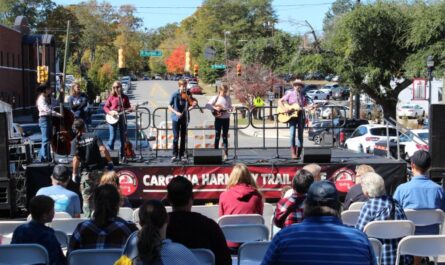 Nash Bash Music Fest 2025 Live Music, Food Trucks, and Family Activities in Missouri