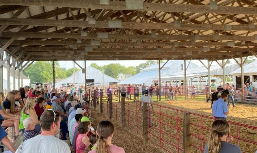 Pottawatomie County Free Fair 2025: Full Schedule, Admission Info, and Grandstand Events
